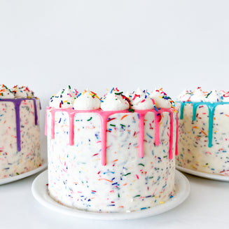 GF Friendly Chocolate Sprinkle Party Cake