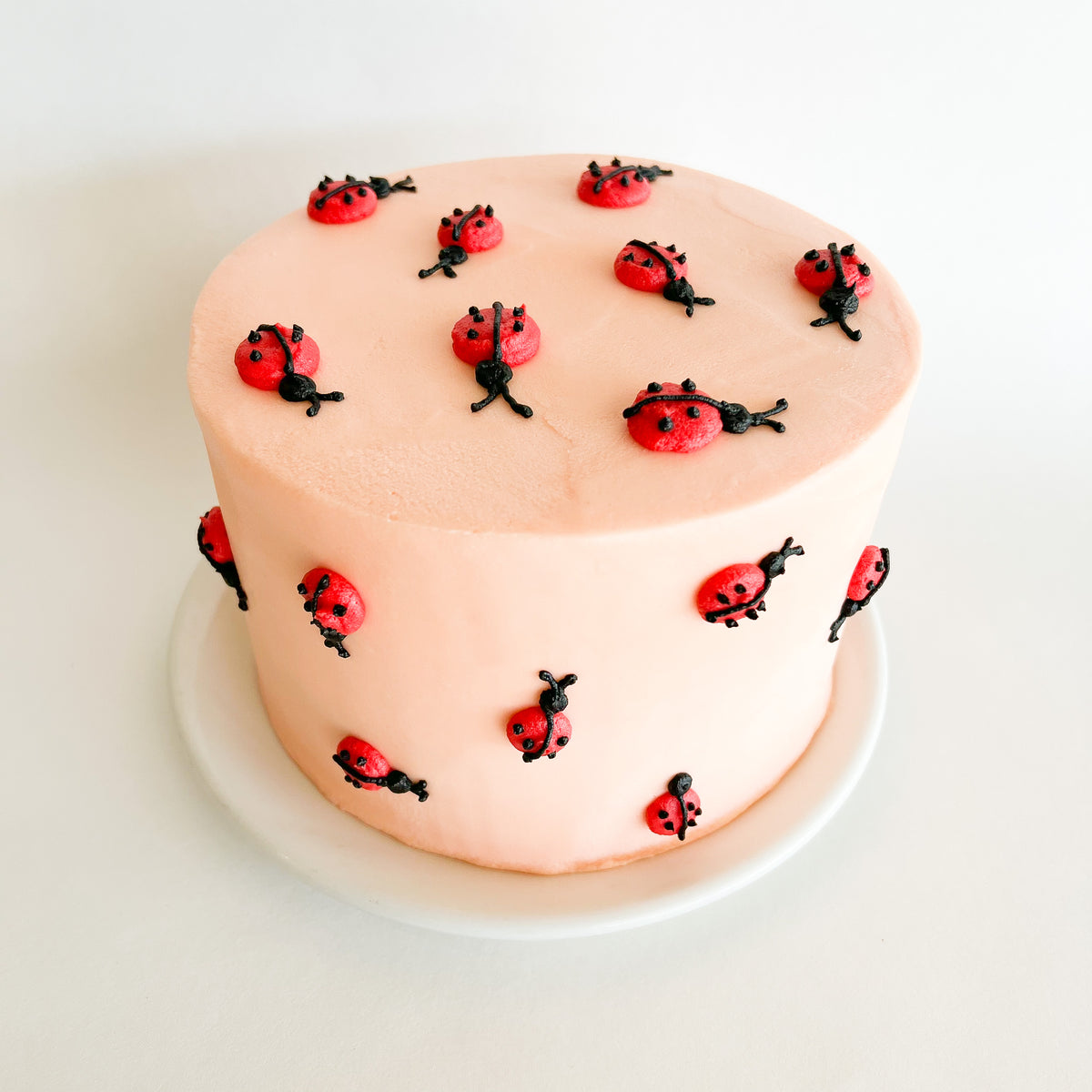 Lady Bug Cake