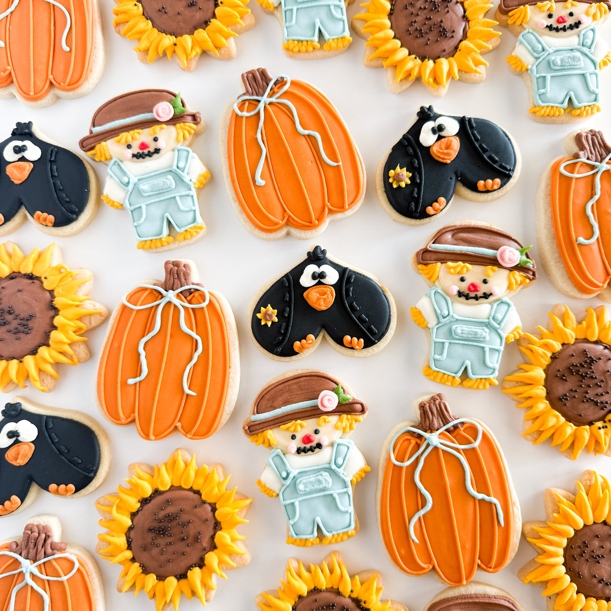 Pumpkins & Patchwork Sugar Cookie Set