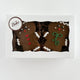 thumbnail for Gingerbread Cookie 2-Pack
