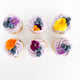 thumbnail for Floral Lemon Blueberry Cupcakes