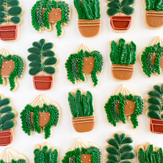 Potted Plant Sugar Cookies